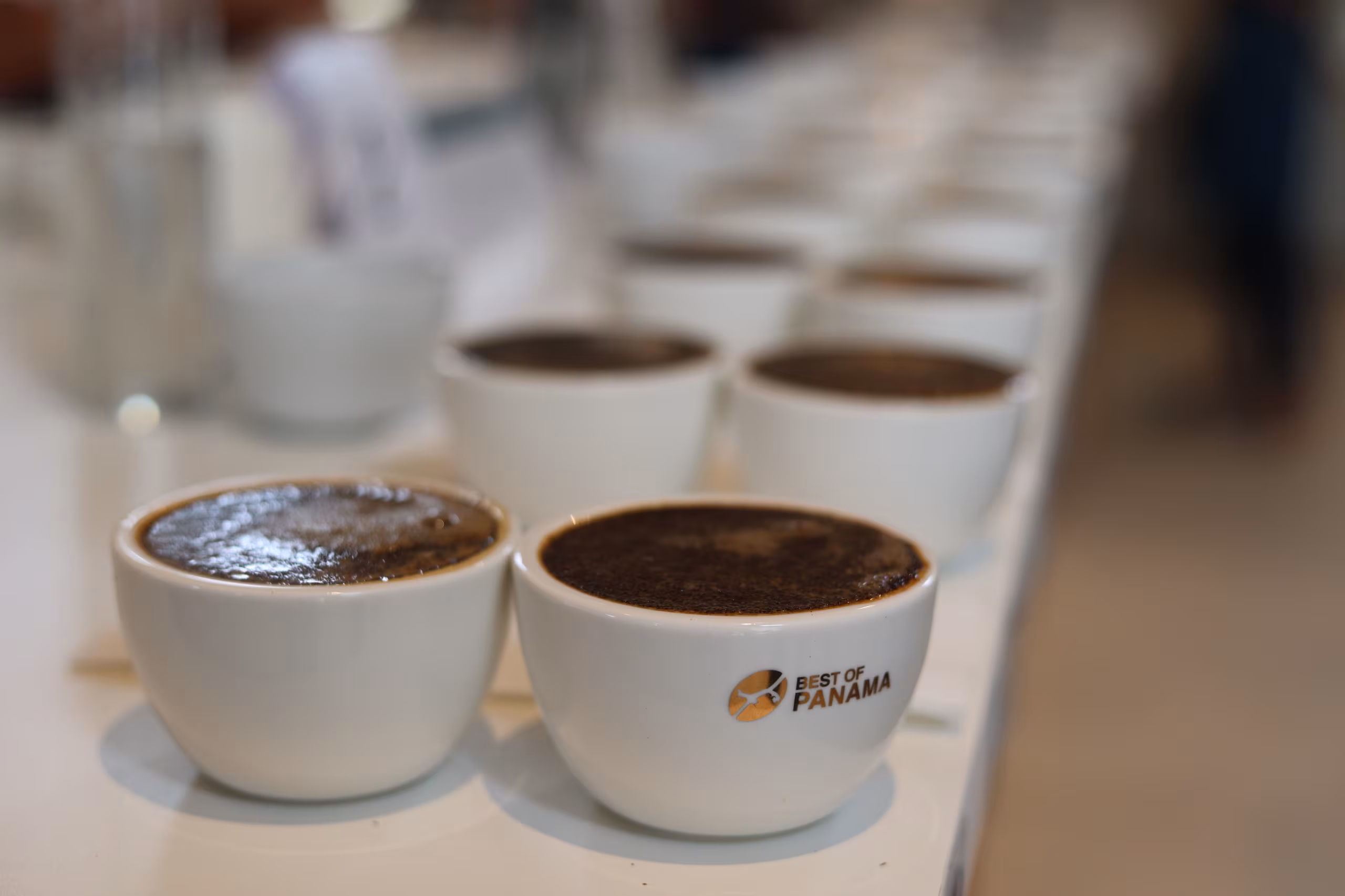 Finca panameña apuesta por el Geisha, la trazabilidad y la biodiversidad frente al clima