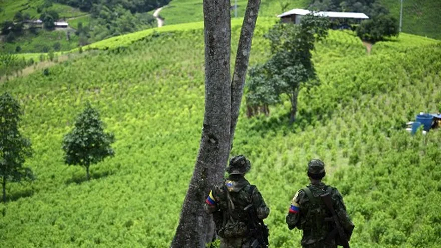 Nueve muertos deja bombardeo contra campamento del ELN en Cauca