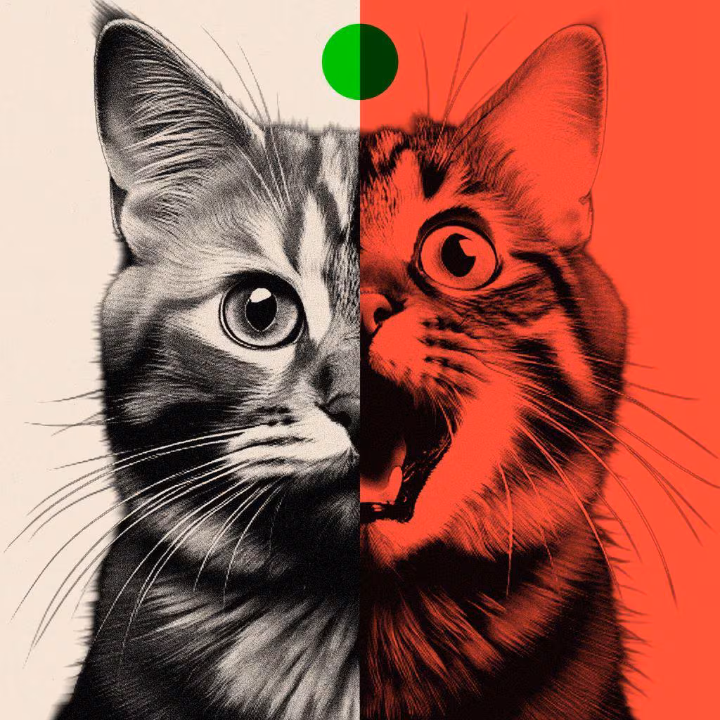 Un gato, la IA y la urgencia de amarrar los proyectos de Panamá