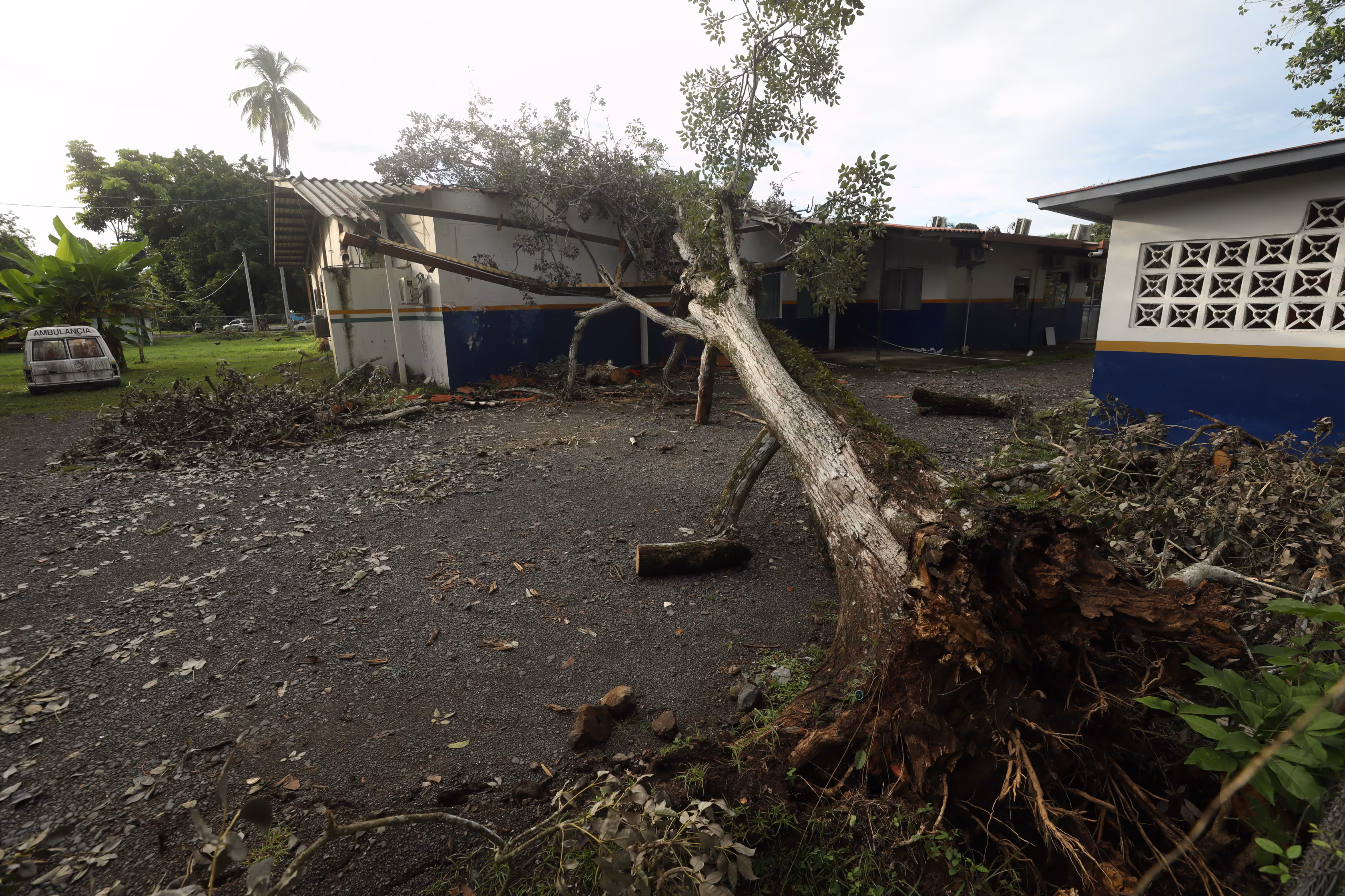Cinco lecciones de la pandemia guían la respuesta educativa tras el sismo del 9 de octubre