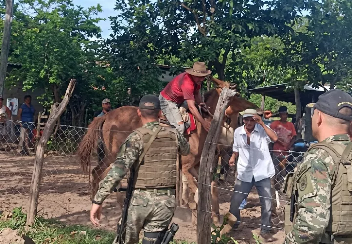 Agente del Senafront resulta herido con arma blanca en operativo contra licor ilegal en Chepo