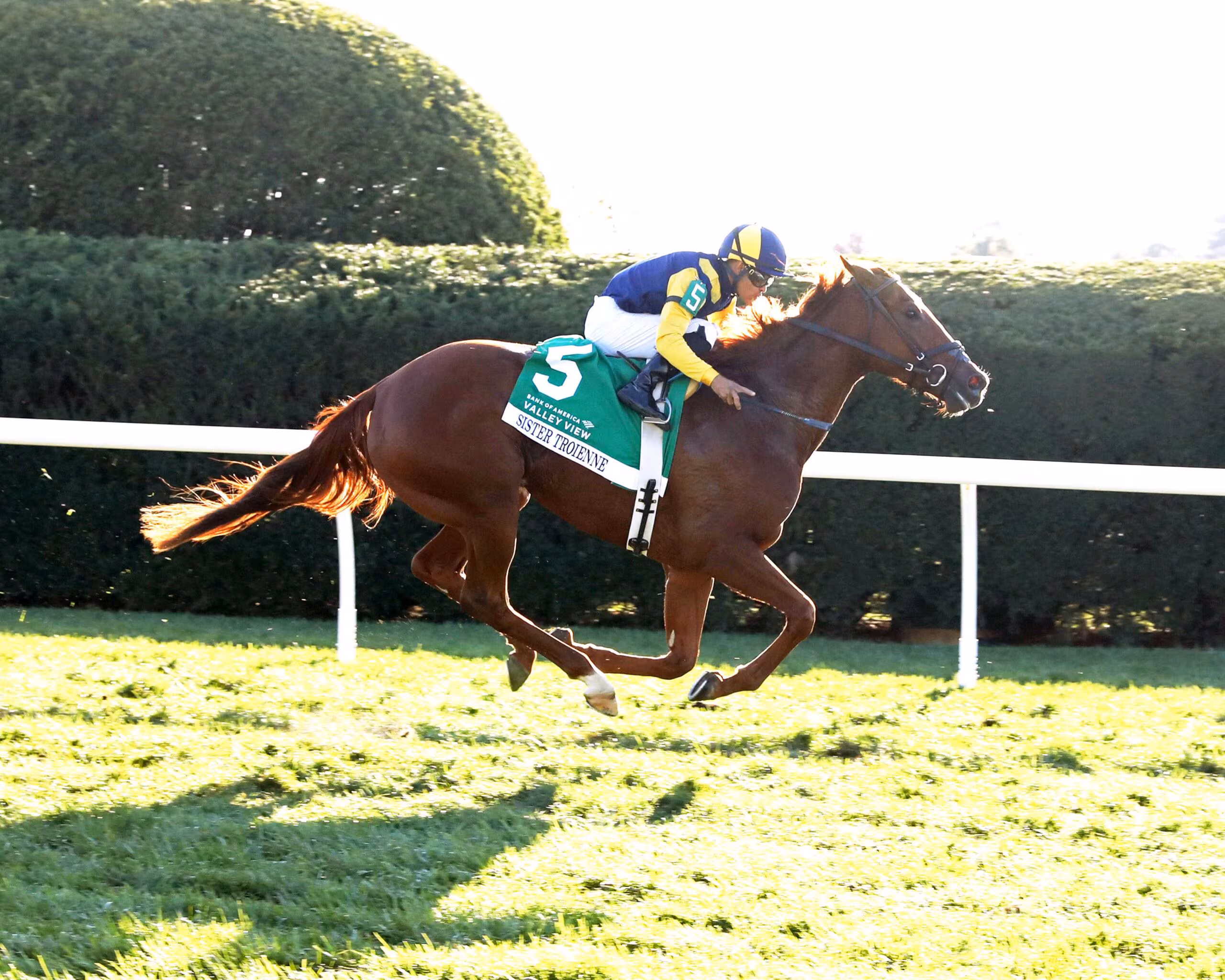 ¡Triplete de lujo! El panameño Luis Sáez hace de las suyas en Keeneland