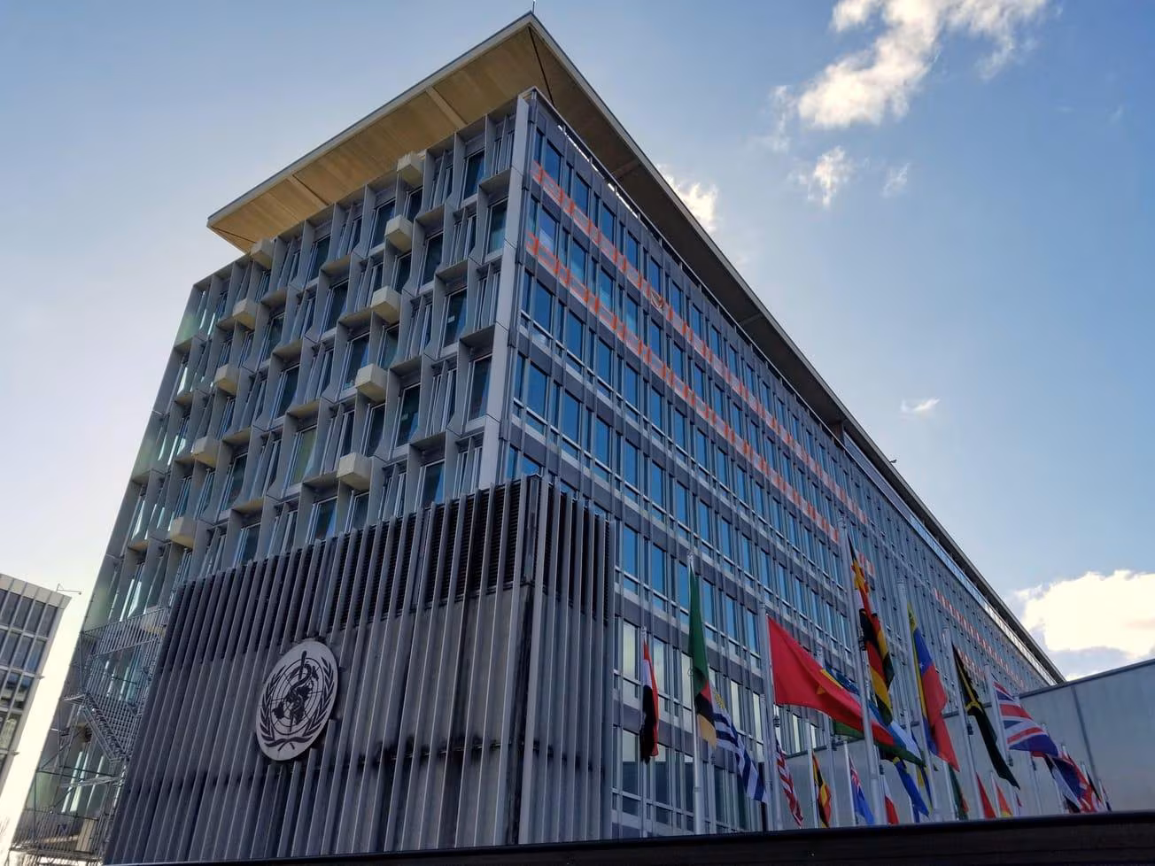 Panamá podría perder su voto en la elección del director de la OMS