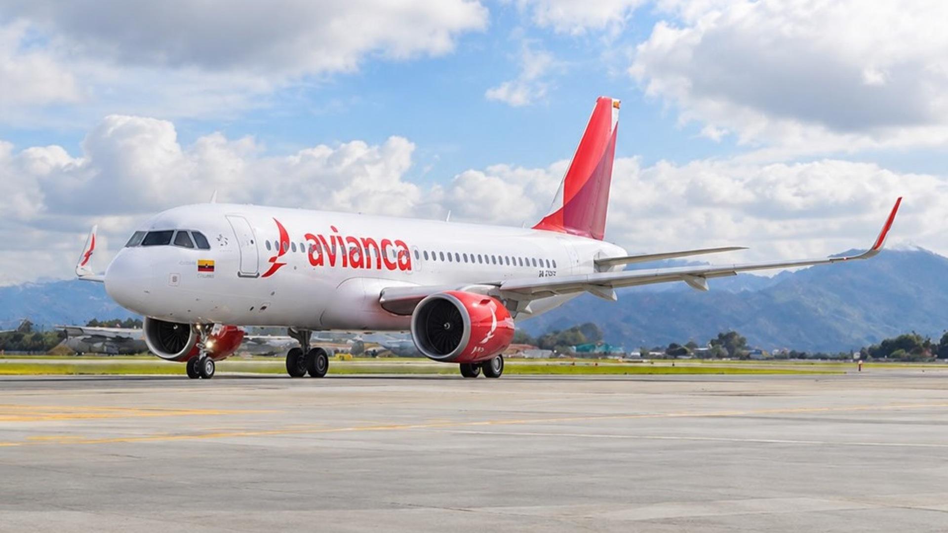 Ave sorprende a avión en pleno despegue en Tocumen