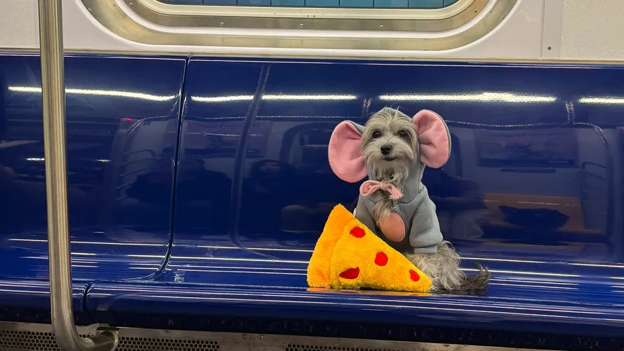 Perrito disfrazado de ratón pizzero se vuelve viral en Nueva York durante Halloween